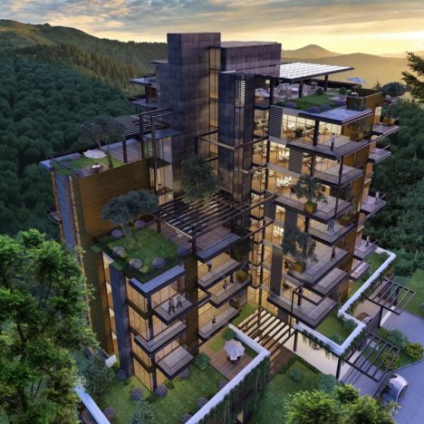 Legado del bosque – 6 ARQUITECTOS